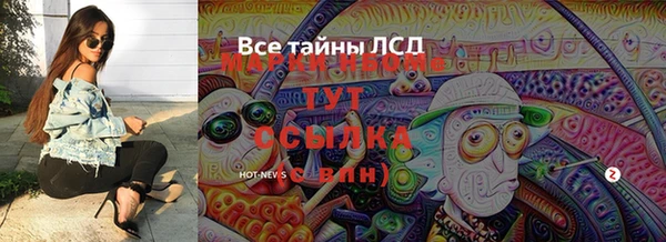 индика Нефтегорск