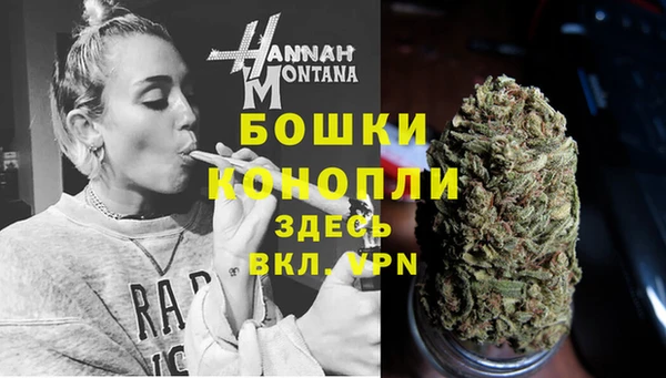 индика Нефтегорск