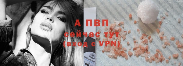 индика Нефтегорск